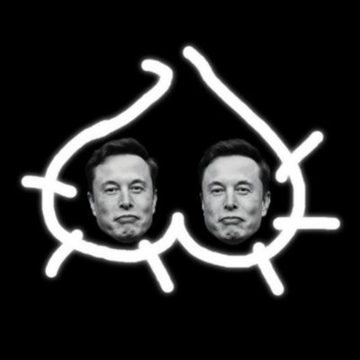 $MUSKS logo — a neon pouch emblem featuring two Elon Musk faces